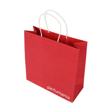 Eco-Friendly Printing Service Paper Gift Bag for Clothing Carrier Gift Bag Manufacturer with Handle